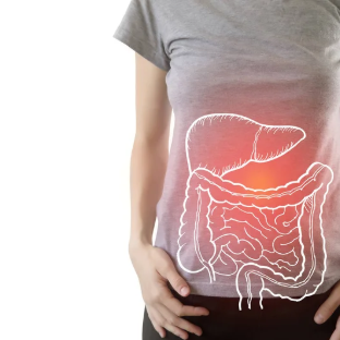 Digestive Enzyme